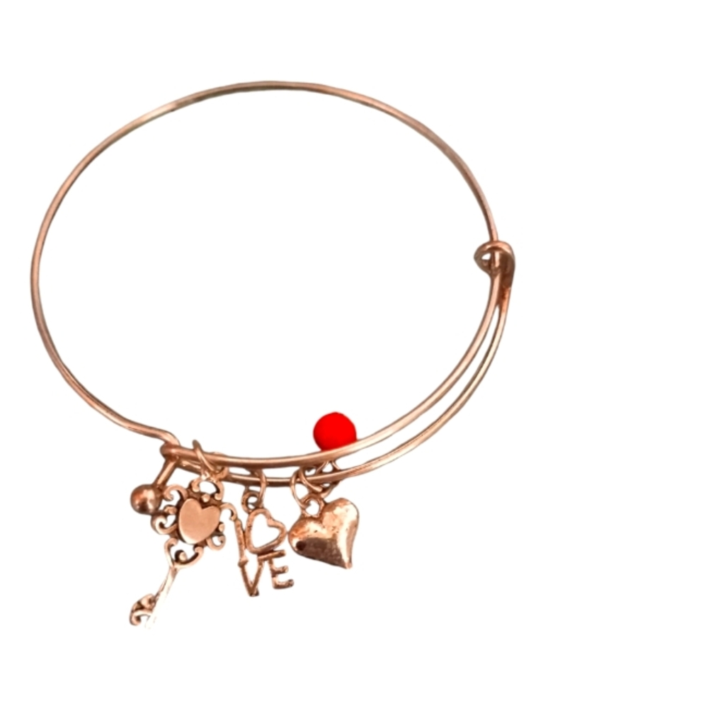 New Silver Toned Charm Bracelt